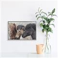 Picture of Untamed Beauties   _GroupedProduct_Rectangle_Landscape_Photography _GroupedProduct_Rectangle_Landscape_Canvas_Framed_