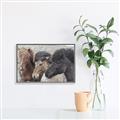 Picture of Untamed Beauties   _GroupedProduct_Rectangle_Landscape_Photography _GroupedProduct_Rectangle_Landscape_Canvas_Framed_