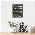 Picture of Sun & Palms  _GroupedProduct_Rectangle_Portrait_Photography _GroupedProduct_Rectangle_Portrait_Canvas_Framed_