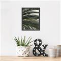 Picture of Sun & Palms  _GroupedProduct_Rectangle_Portrait_Photography _GroupedProduct_Rectangle_Portrait_Canvas_Framed_