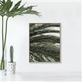Picture of Sun & Palms  _GroupedProduct_Rectangle_Portrait_Photography _GroupedProduct_Rectangle_Portrait_Canvas_Framed_