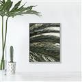 Picture of Sun & Palms  _GroupedProduct_Rectangle_Portrait_Photography _GroupedProduct_Rectangle_Portrait_Canvas_Framed_