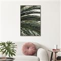 Picture of Sun & Palms  _GroupedProduct_Rectangle_Portrait_Photography _GroupedProduct_Rectangle_Portrait_Canvas_Framed_