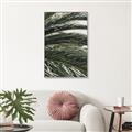 Picture of Sun & Palms  _GroupedProduct_Rectangle_Portrait_Photography _GroupedProduct_Rectangle_Portrait_Canvas_Framed_