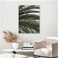 Picture of Sun & Palms  _GroupedProduct_Rectangle_Portrait_Photography _GroupedProduct_Rectangle_Portrait_Canvas_Framed_