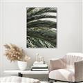 Picture of Sun & Palms  _GroupedProduct_Rectangle_Portrait_Photography _GroupedProduct_Rectangle_Portrait_Canvas_Framed_
