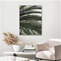 Picture of Sun & Palms  _GroupedProduct_Rectangle_Portrait_Photography _GroupedProduct_Rectangle_Portrait_Canvas_Framed_
