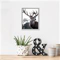 Picture of The Winter Deer _GroupedProduct_Rectangle_Portrait_Photography _GroupedProduct_Rectangle_Portrait_Canvas_Framed_