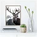 Picture of The Winter Deer _GroupedProduct_Rectangle_Portrait_Photography _GroupedProduct_Rectangle_Portrait_Canvas_Framed_