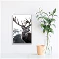 Picture of The Winter Deer _GroupedProduct_Rectangle_Portrait_Photography _GroupedProduct_Rectangle_Portrait_Canvas_Framed_