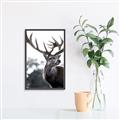 Picture of The Winter Deer _GroupedProduct_Rectangle_Portrait_Photography _GroupedProduct_Rectangle_Portrait_Canvas_Framed_