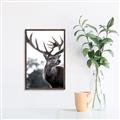 Picture of The Winter Deer _GroupedProduct_Rectangle_Portrait_Photography _GroupedProduct_Rectangle_Portrait_Canvas_Framed_
