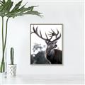 Picture of The Winter Deer _GroupedProduct_Rectangle_Portrait_Photography _GroupedProduct_Rectangle_Portrait_Canvas_Framed_