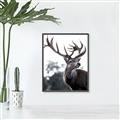 Picture of The Winter Deer _GroupedProduct_Rectangle_Portrait_Photography _GroupedProduct_Rectangle_Portrait_Canvas_Framed_