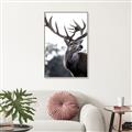 Picture of The Winter Deer _GroupedProduct_Rectangle_Portrait_Photography _GroupedProduct_Rectangle_Portrait_Canvas_Framed_