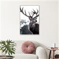 Picture of The Winter Deer _GroupedProduct_Rectangle_Portrait_Photography _GroupedProduct_Rectangle_Portrait_Canvas_Framed_