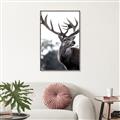 Picture of The Winter Deer _GroupedProduct_Rectangle_Portrait_Photography _GroupedProduct_Rectangle_Portrait_Canvas_Framed_