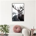 Picture of The Winter Deer _GroupedProduct_Rectangle_Portrait_Photography _GroupedProduct_Rectangle_Portrait_Canvas_Framed_