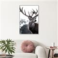 Picture of The Winter Deer _GroupedProduct_Rectangle_Portrait_Photography _GroupedProduct_Rectangle_Portrait_Canvas_Framed_