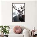 Picture of The Winter Deer _GroupedProduct_Rectangle_Portrait_Photography _GroupedProduct_Rectangle_Portrait_Canvas_Framed_