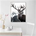 Picture of The Winter Deer _GroupedProduct_Rectangle_Portrait_Photography _GroupedProduct_Rectangle_Portrait_Canvas_Framed_
