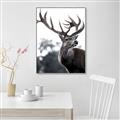 Picture of The Winter Deer _GroupedProduct_Rectangle_Portrait_Photography _GroupedProduct_Rectangle_Portrait_Canvas_Framed_
