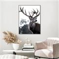 Picture of The Winter Deer _GroupedProduct_Rectangle_Portrait_Photography _GroupedProduct_Rectangle_Portrait_Canvas_Framed_