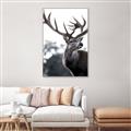 Picture of The Winter Deer _GroupedProduct_Rectangle_Portrait_Photography _GroupedProduct_Rectangle_Portrait_Canvas_Framed_