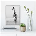 Picture of Through the Grass _GroupedProduct_Rectangle_Portrait_Photography _GroupedProduct_Rectangle_Portrait_Canvas_Framed_
