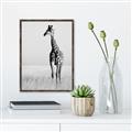 Picture of Through the Grass _GroupedProduct_Rectangle_Portrait_Photography _GroupedProduct_Rectangle_Portrait_Canvas_Framed_