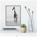 Picture of Through the Grass _GroupedProduct_Rectangle_Portrait_Photography _GroupedProduct_Rectangle_Portrait_Canvas_Framed_