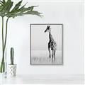 Picture of Through the Grass _GroupedProduct_Rectangle_Portrait_Photography _GroupedProduct_Rectangle_Portrait_Canvas_Framed_