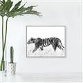 Picture of Tiger Path _GroupedProduct_Rectangle_Landscape_Photography _GroupedProduct_Rectangle_Landscape_Canvas_Framed_