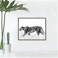 Picture of Tiger Path _GroupedProduct_Rectangle_Landscape_Photography _GroupedProduct_Rectangle_Landscape_Canvas_Framed_