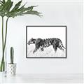 Picture of Tiger Path _GroupedProduct_Rectangle_Landscape_Photography _GroupedProduct_Rectangle_Landscape_Canvas_Framed_