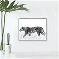 Picture of Tiger Path _GroupedProduct_Rectangle_Landscape_Photography _GroupedProduct_Rectangle_Landscape_Canvas_Framed_