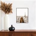 Picture of Touch of Mustard in Paris _GroupedProduct_Rectangle_Portrait_Photography _GroupedProduct_Rectangle_Portrait_Canvas_Framed_