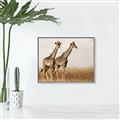 Picture of Twice as Tall _GroupedProduct_Rectangle_Landscape_Photography _GroupedProduct_Rectangle_Landscape_Canvas_Framed_