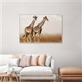 Picture of Twice as Tall _GroupedProduct_Rectangle_Landscape_Photography _GroupedProduct_Rectangle_Landscape_Canvas_Framed_