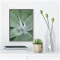 Picture of Up Close & Green _GroupedProduct_Rectangle_Portrait_Photography _GroupedProduct_Rectangle_Portrait_Canvas_Framed_