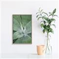 Picture of Up Close & Green _GroupedProduct_Rectangle_Portrait_Photography _GroupedProduct_Rectangle_Portrait_Canvas_Framed_
