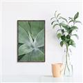 Picture of Up Close & Green _GroupedProduct_Rectangle_Portrait_Photography _GroupedProduct_Rectangle_Portrait_Canvas_Framed_