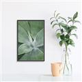 Picture of Up Close & Green _GroupedProduct_Rectangle_Portrait_Photography _GroupedProduct_Rectangle_Portrait_Canvas_Framed_