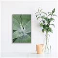 Picture of Up Close & Green _GroupedProduct_Rectangle_Portrait_Photography _GroupedProduct_Rectangle_Portrait_Canvas_Framed_