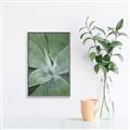 Picture of Up Close & Green _GroupedProduct_Rectangle_Portrait_Photography _GroupedProduct_Rectangle_Portrait_Canvas_Framed_