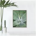 Picture of Up Close & Green _GroupedProduct_Rectangle_Portrait_Photography _GroupedProduct_Rectangle_Portrait_Canvas_Framed_