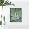 Picture of Up Close & Green _GroupedProduct_Rectangle_Portrait_Photography _GroupedProduct_Rectangle_Portrait_Canvas_Framed_