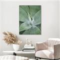 Picture of Up Close & Green _GroupedProduct_Rectangle_Portrait_Photography _GroupedProduct_Rectangle_Portrait_Canvas_Framed_
