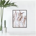 Picture of Wheat in the Wind  _GroupedProduct_Rectangle_Portrait_Photography _GroupedProduct_Rectangle_Portrait_Canvas_Framed_