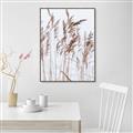Picture of Wheat in the Wind  _GroupedProduct_Rectangle_Portrait_Photography _GroupedProduct_Rectangle_Portrait_Canvas_Framed_